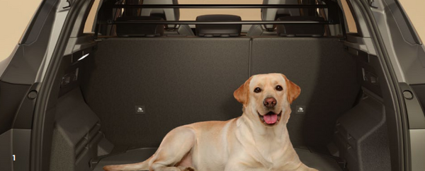 Genuine renault captur clearance dog guard