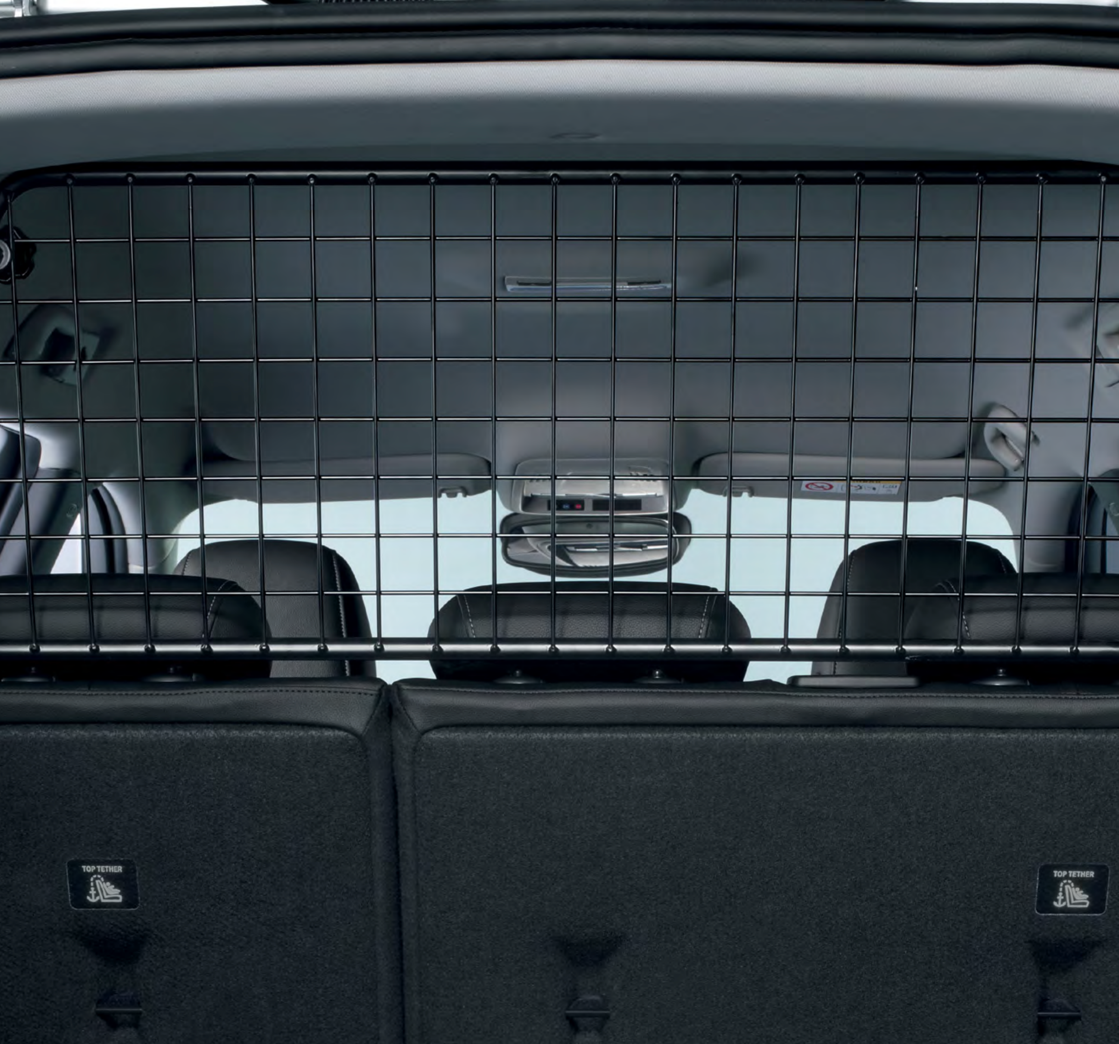 Vauxhall Dog Guards