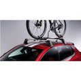Bike Carrier - Thule Expert 298