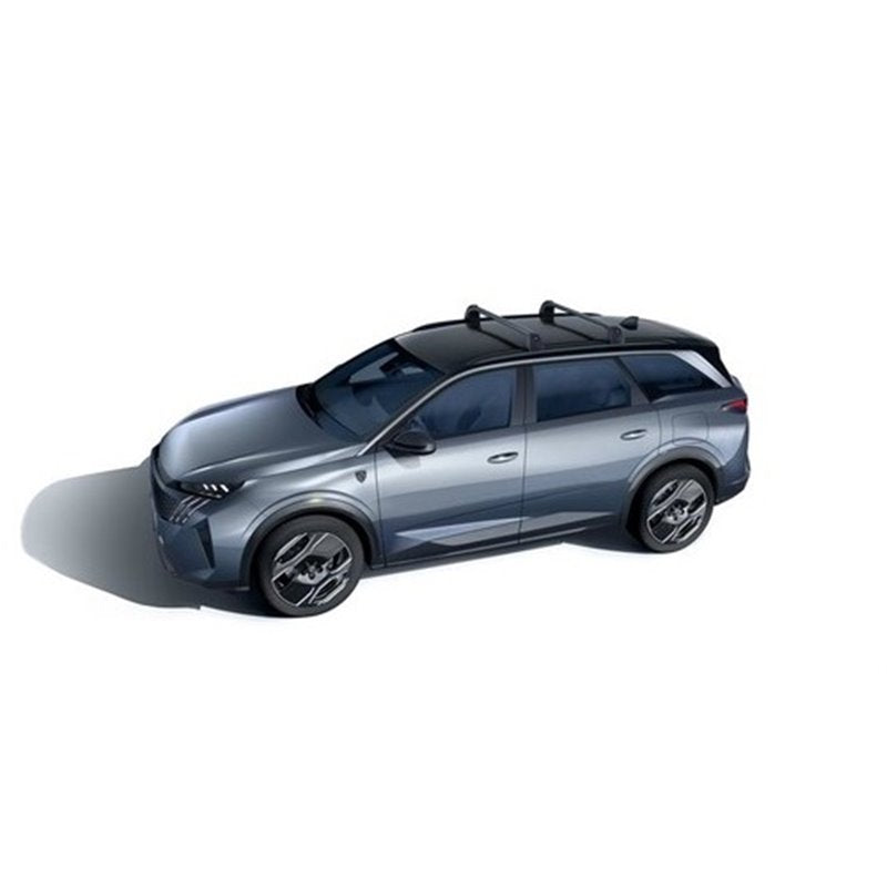 PEUGEOT E-5008 ROOF BARS FOR RAILING