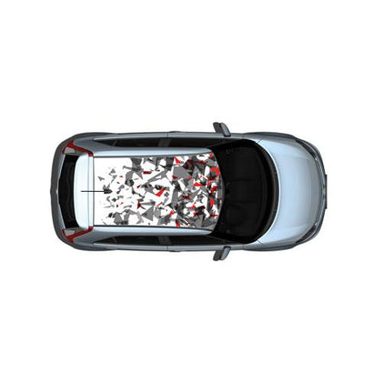 MG Shards Lh / Rh Rear Door