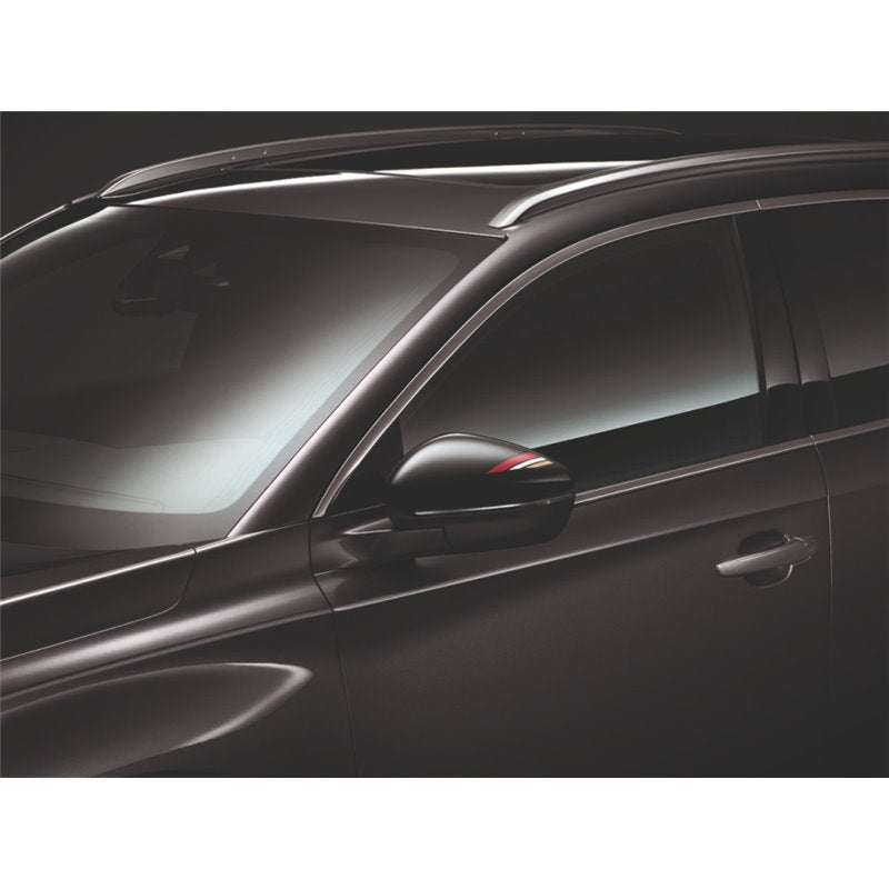 DS PERFORMANCE Sticker for left-hand ... | DS Exterior Styling | Toomey ...