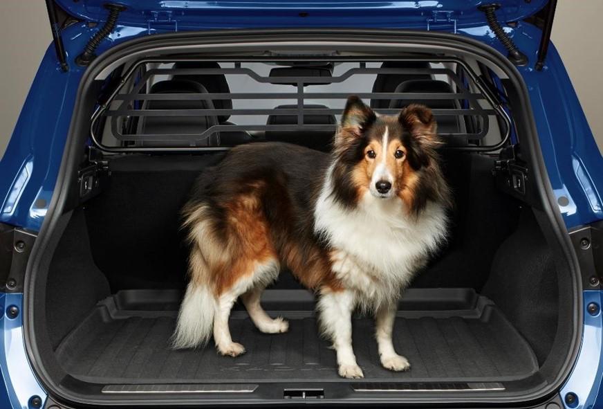 Renault Partition Grid/Dog Guard - Kadjar