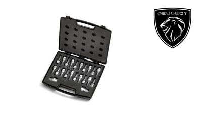 Peugeot - Case of anti-theft bolts