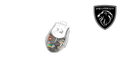 Peugeot Bulb Kit  - H4